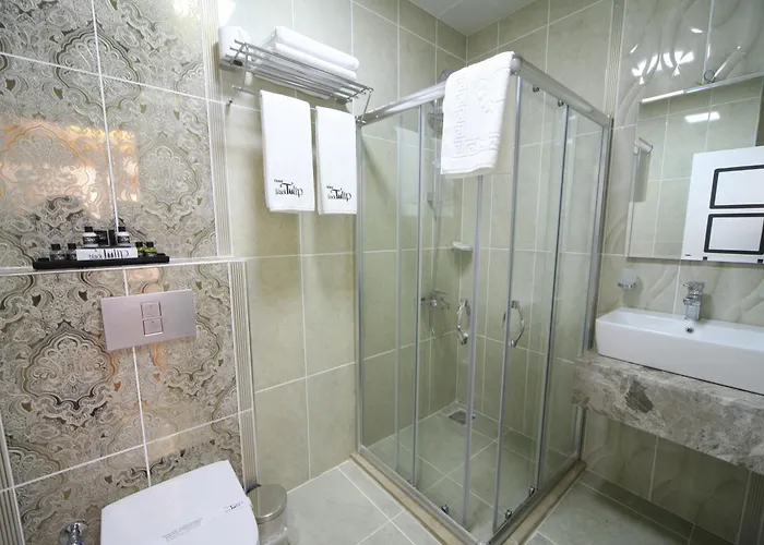 Hotel Black Tulip Provincia di Provincia di Istanbul